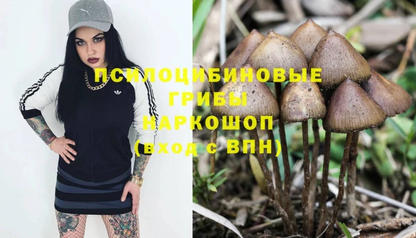 mdpv Алзамай