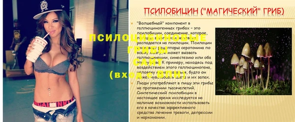 а пвп мука Алексеевка