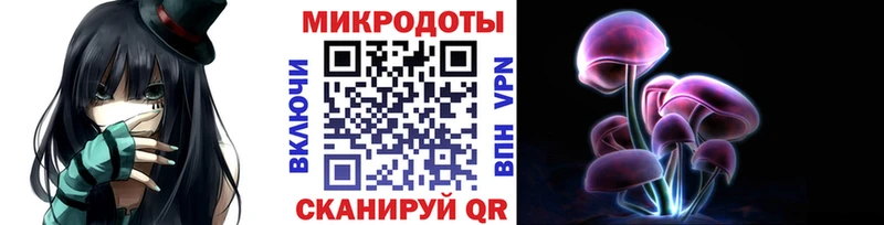 Галлюциногенные грибы Psilocybine cubensis  закладка  Нелидово 